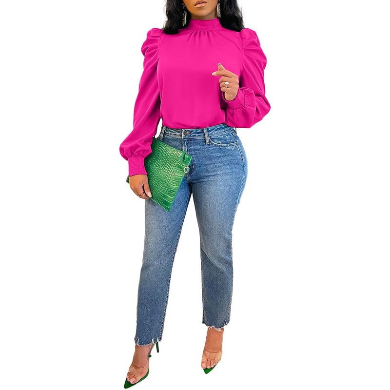 Women Bow Back Stand Neck Puff Long Sleeve Blouse