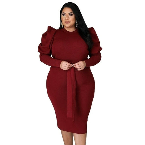 Women's Plus Size Curved Round Neck Dresses