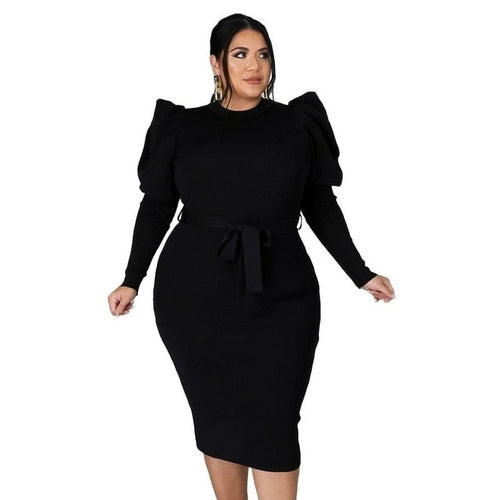 Women's Plus Size Curved Round Neck Dresses