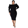 Women's Plus Size Curved Round Neck Dresses