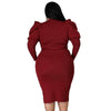 Women's Plus Size Curved Round Neck Dresses